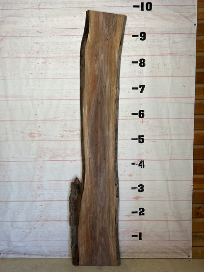 Live Edge Walnut Sku#26119K-25