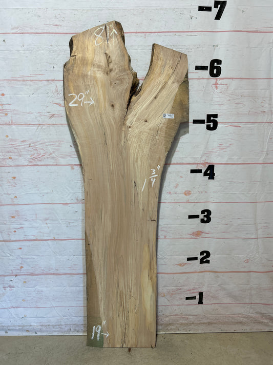 Live Edge Maple Sku#26166B-24