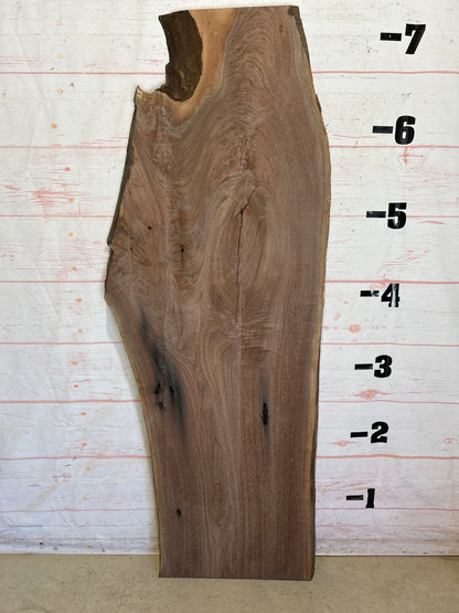 Live Edge Walnut Sku#26081J-31