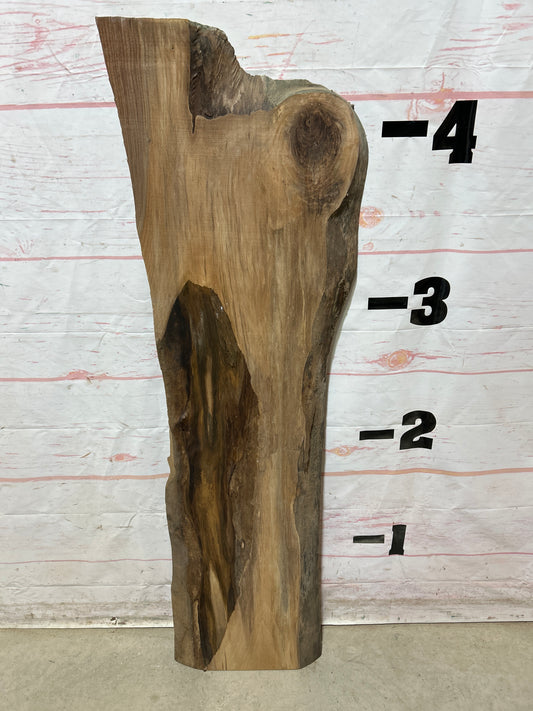 Live Edge Walnut Sku#27220M-8