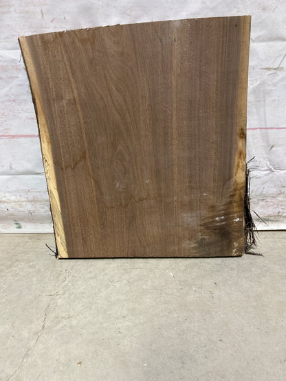 Live Edge Walnut Sku#26685M-3