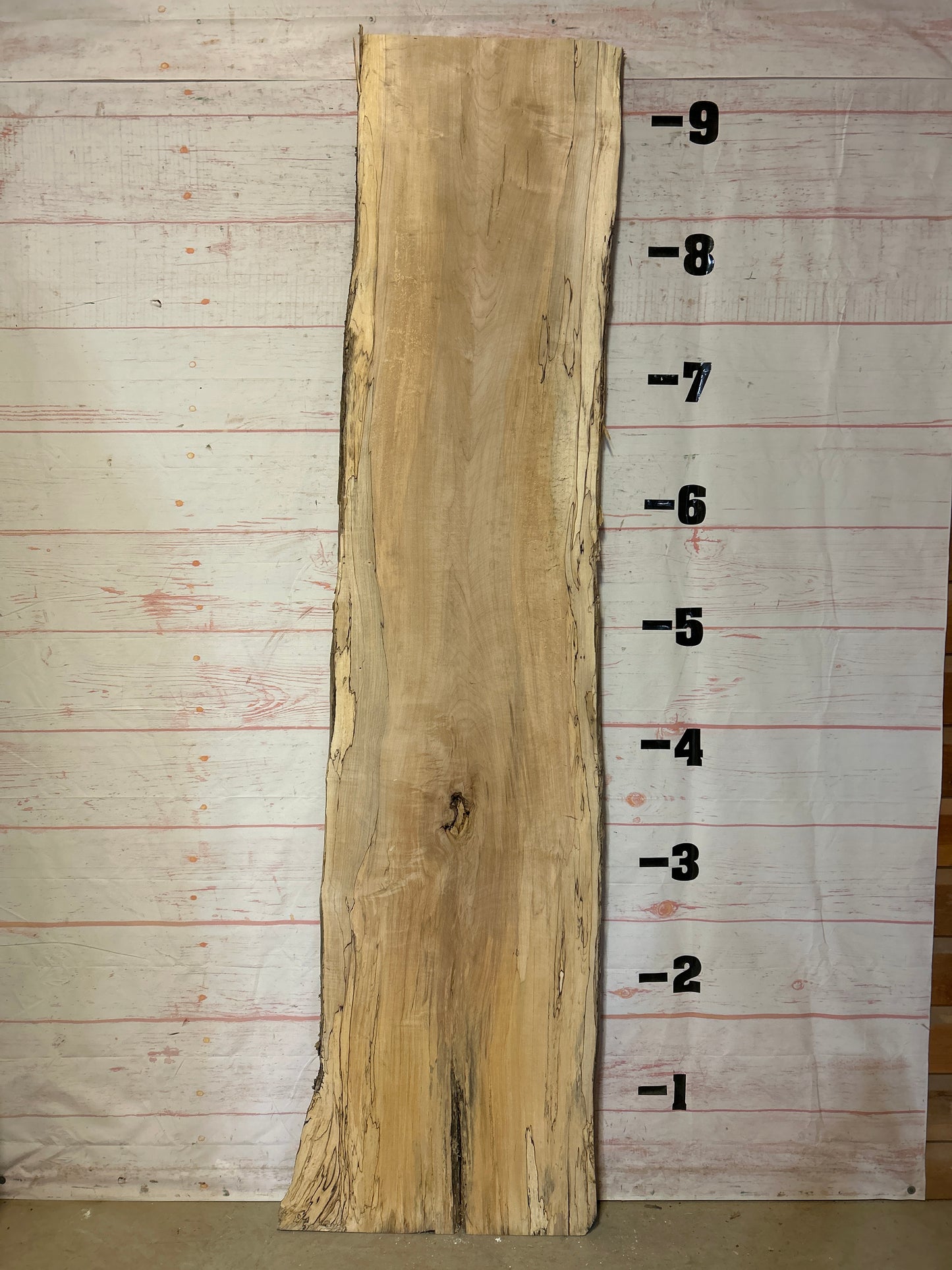 Live Edge Spalted Maple Sku#24450