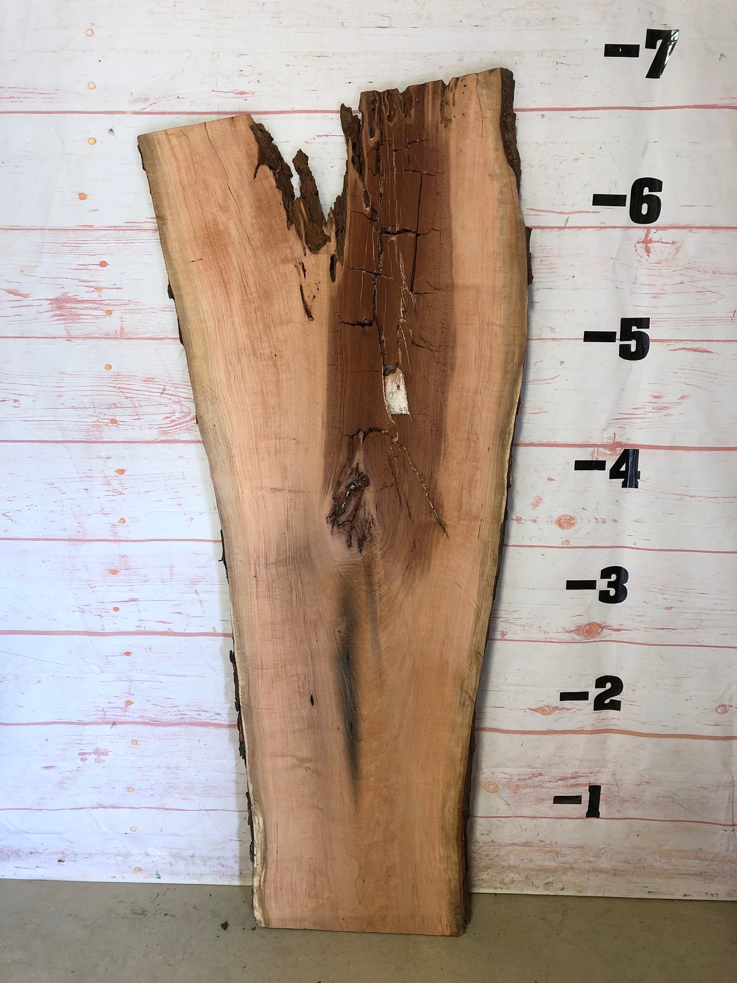 Live Edge Cherry Sku#22685H-33