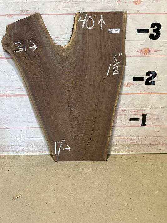 Live Edge Walnut Sku#26022M-10