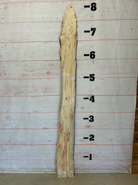 Live Edge Box Elder Sku#25722D-9