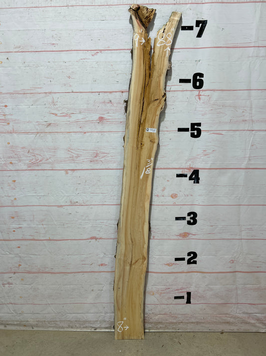 Live Edge Box Elder Sku#25728D-8