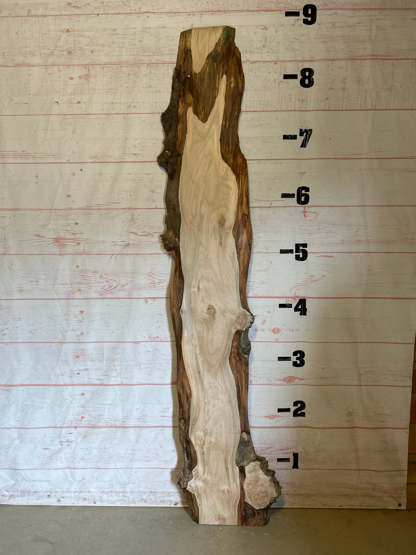 Live Edge Maple Sku#24680E-20