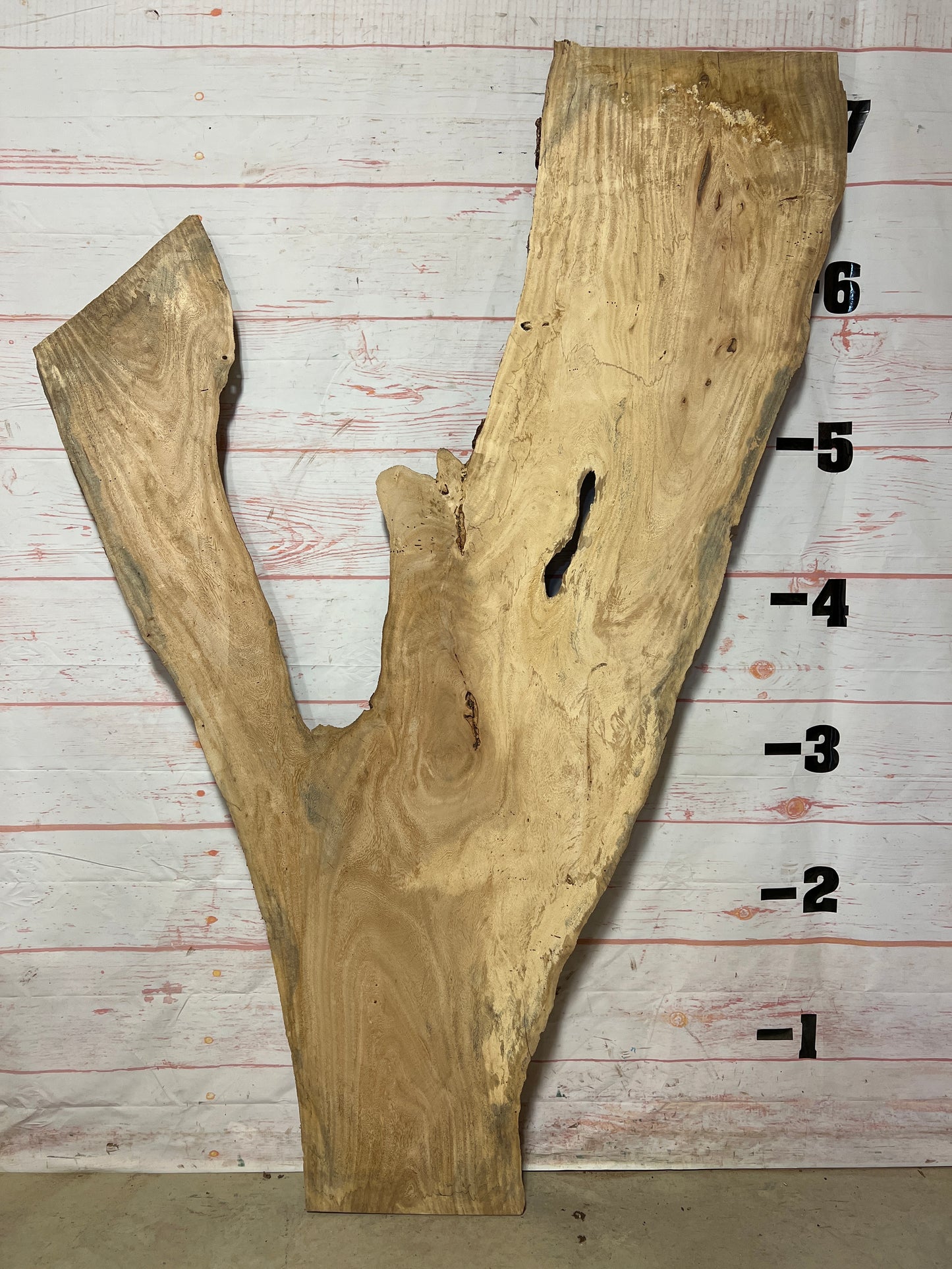 Live Edge Palm Sku# 21029-21