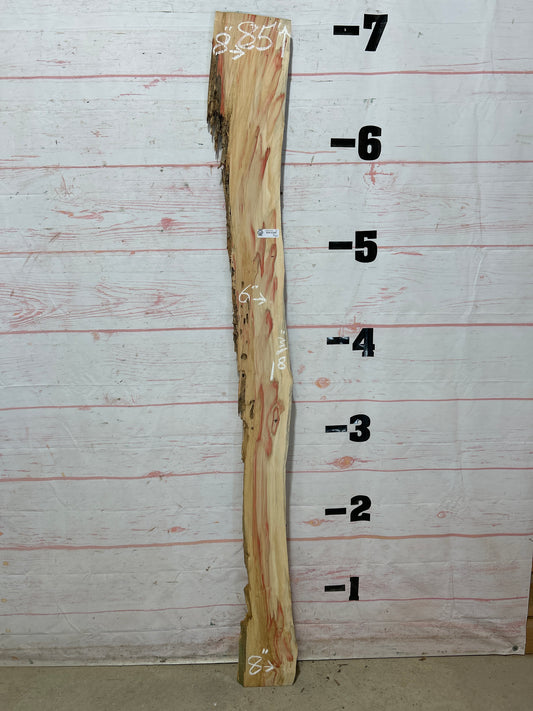 Live Edge Box Elder Sku#25734D-6