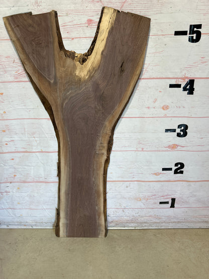 Live Edge Walnut Sku#25693M-17