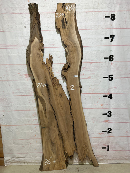 Live Edge Butternut Sku#26756S-10