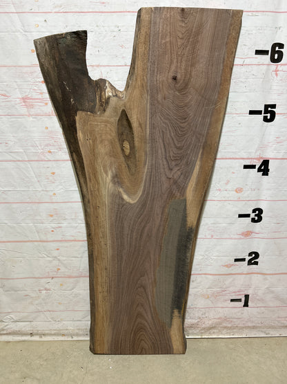 Live Edge Walnut Sku#27229N-36