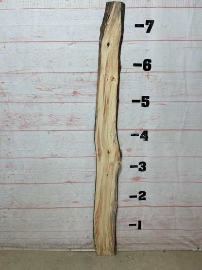 Live Edge Box Elder Sku#25729D-8