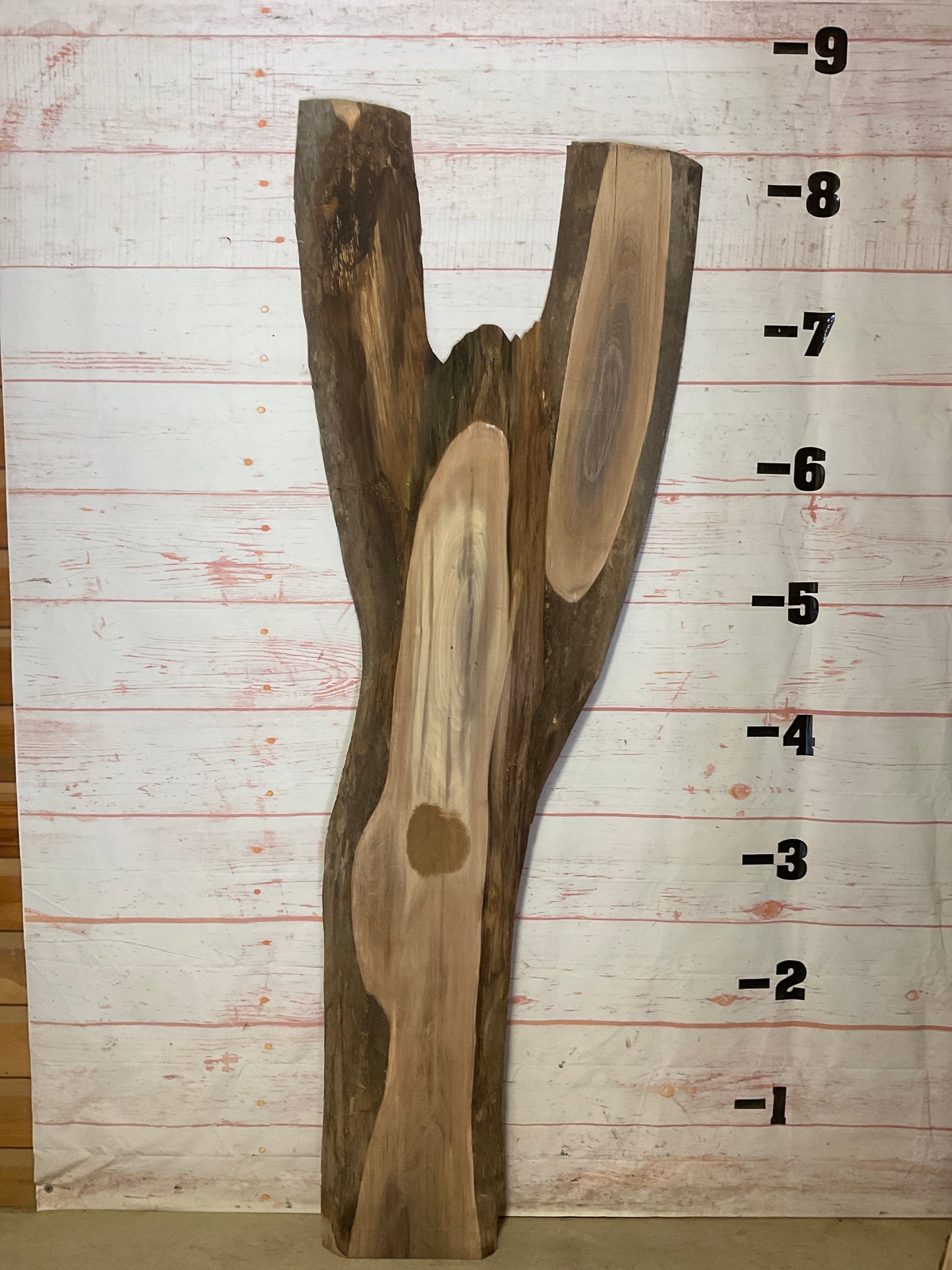 Live Edge Walnut Sku# 20495J-36