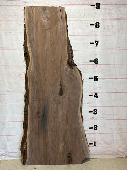 Live Edge Walnut Sku#26287-74