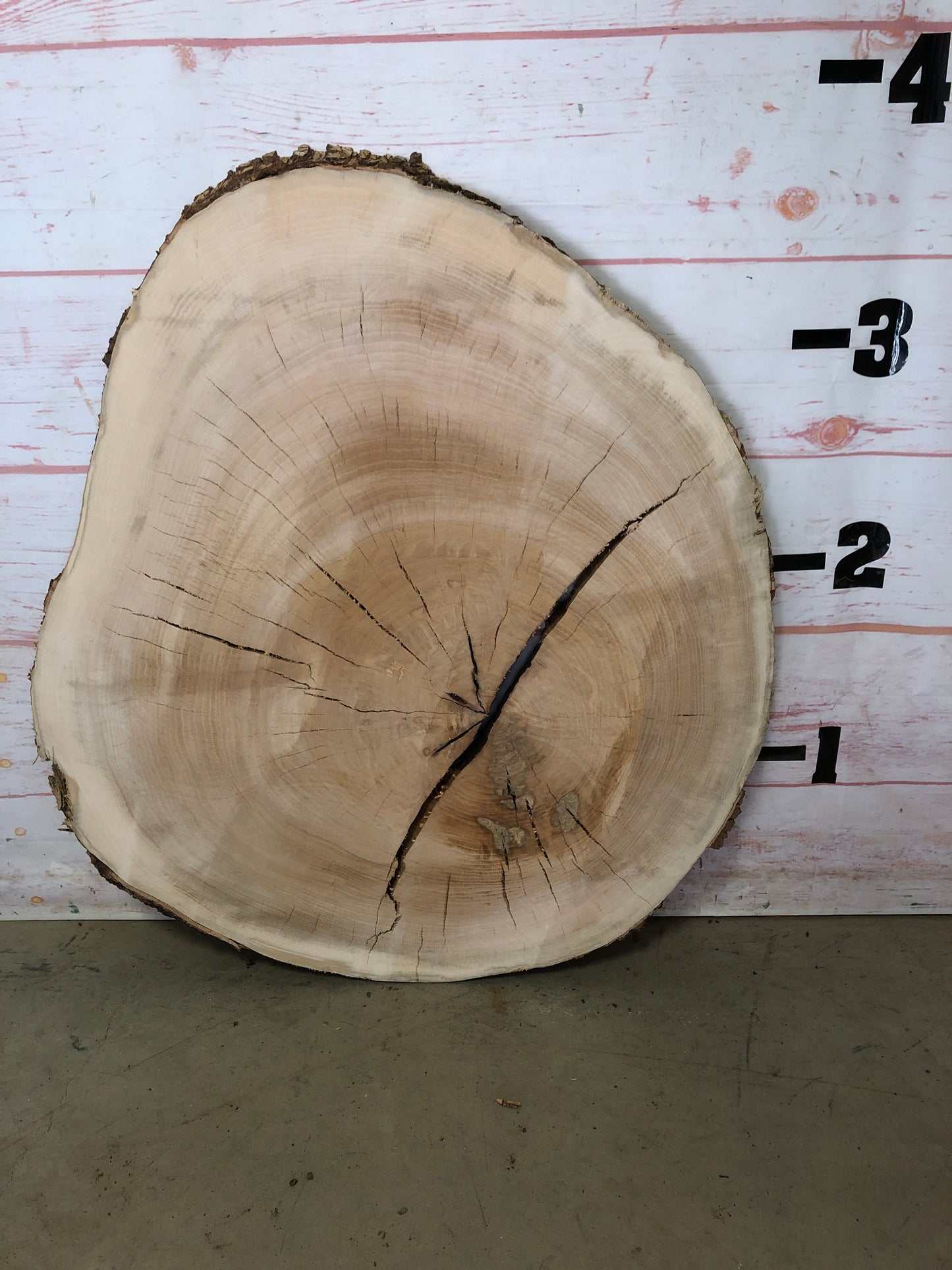 Live Edge Sycamore Cookie Sku# 22343M