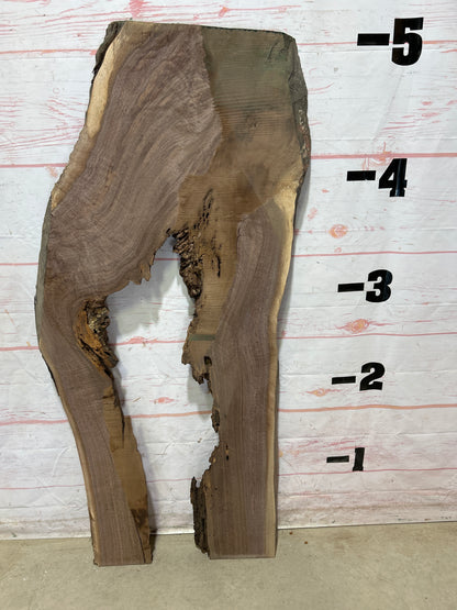 Live Edge Walnut Sku#25462A-23