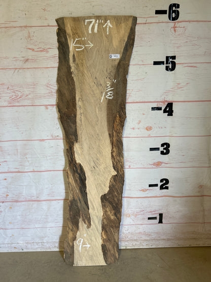 Live Edge Spalted Maple Sku#24660E-13