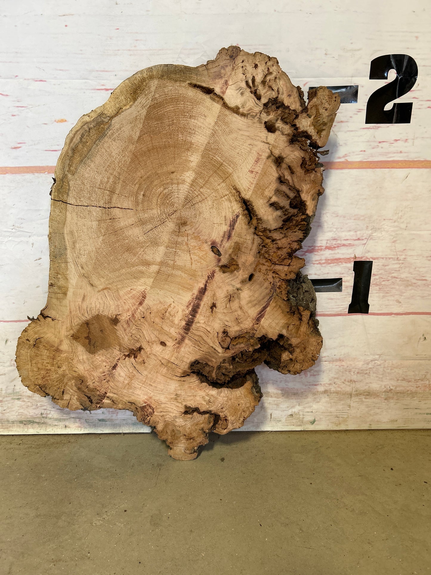 Live Edge Cherry Cookie Sku#25140M
