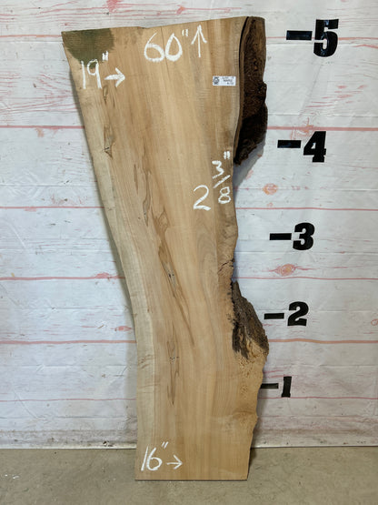 Live Edge Maple Sku#26989M-19