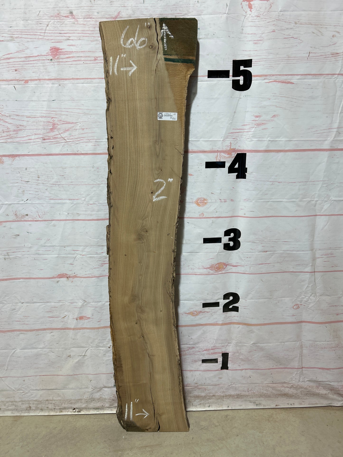 Live Edge Sassafras Sku#27062M-10