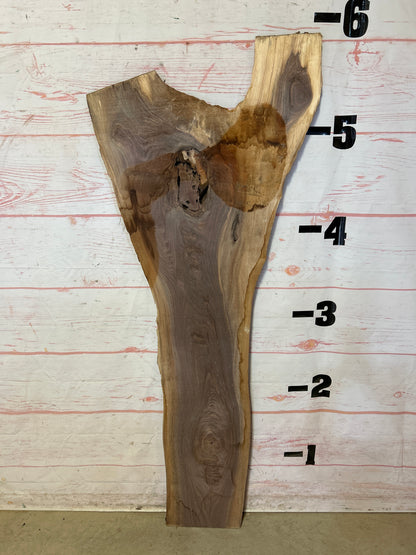 Live Edge Walnut Sku#23661G-11