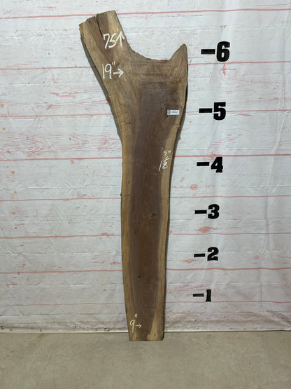 Live Edge Walnut Sku#26828M-11