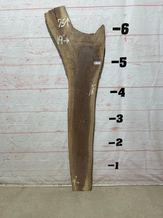 Live Edge Walnut Sku#26828M-11