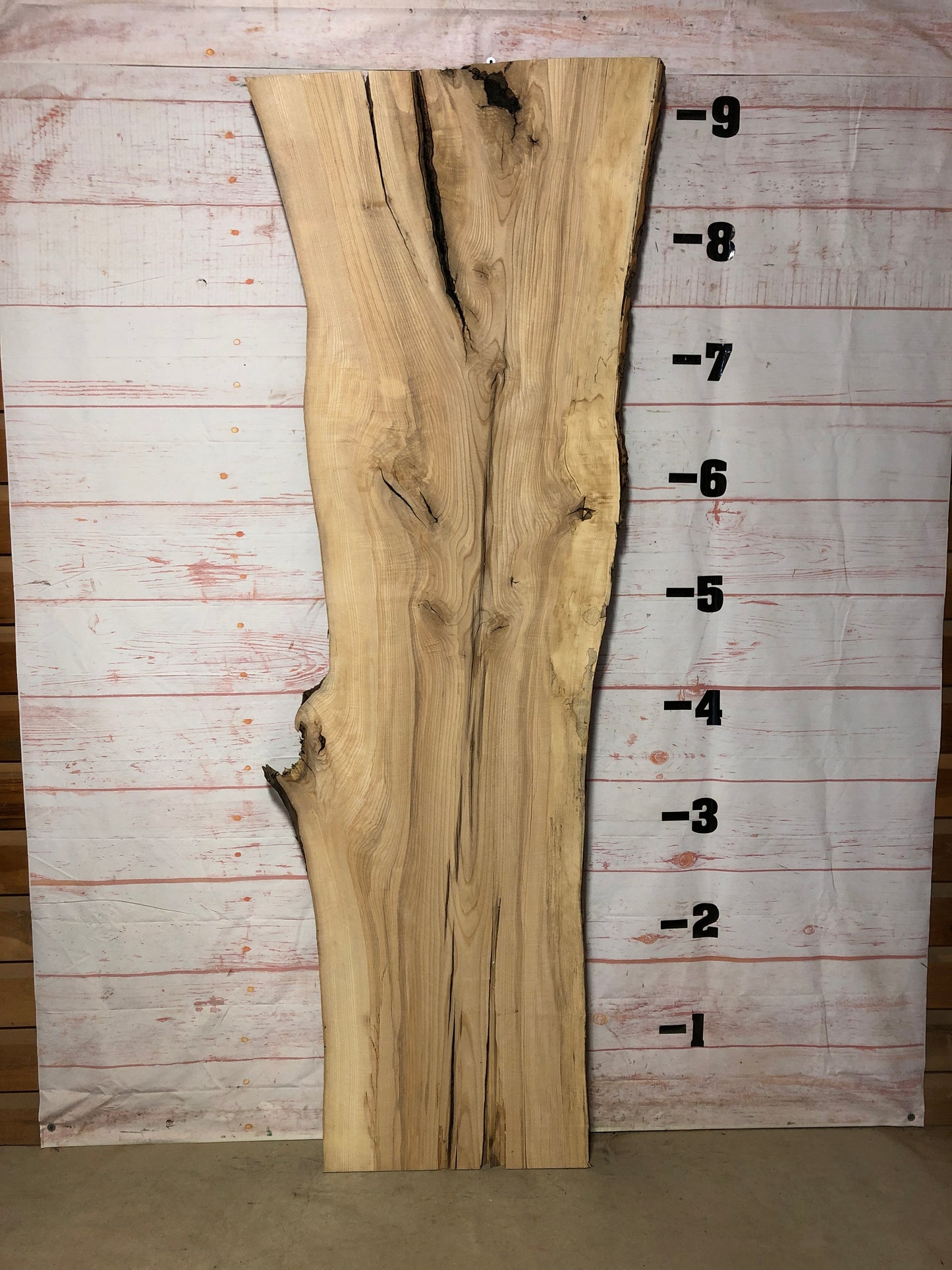 Live Edge Ash SKU# 21227-62