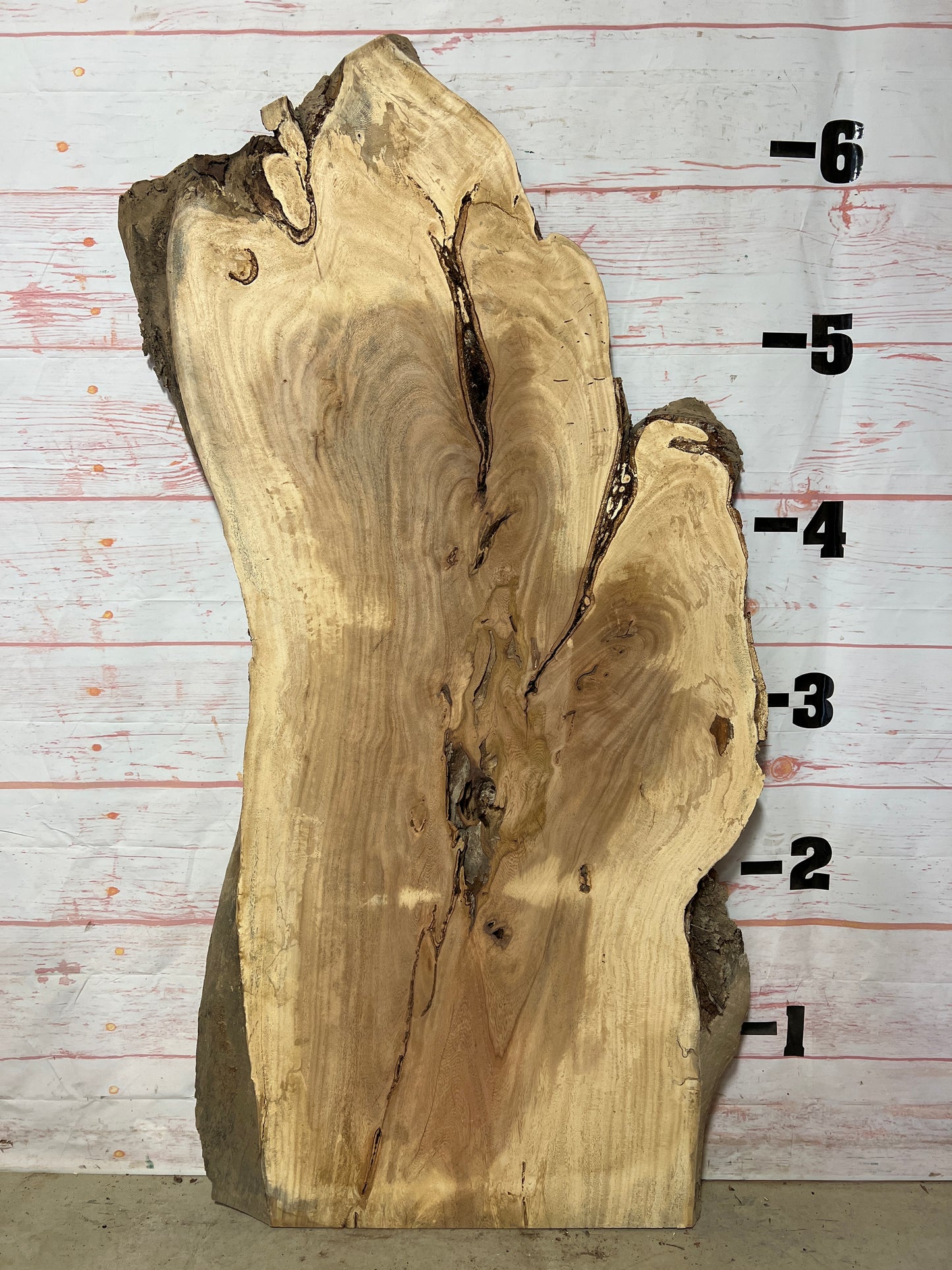 Live Edge Palm Sku# 21036-29