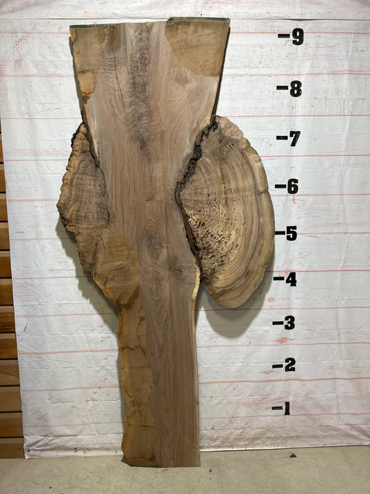 Live Edge Walnut Sku#26888-75