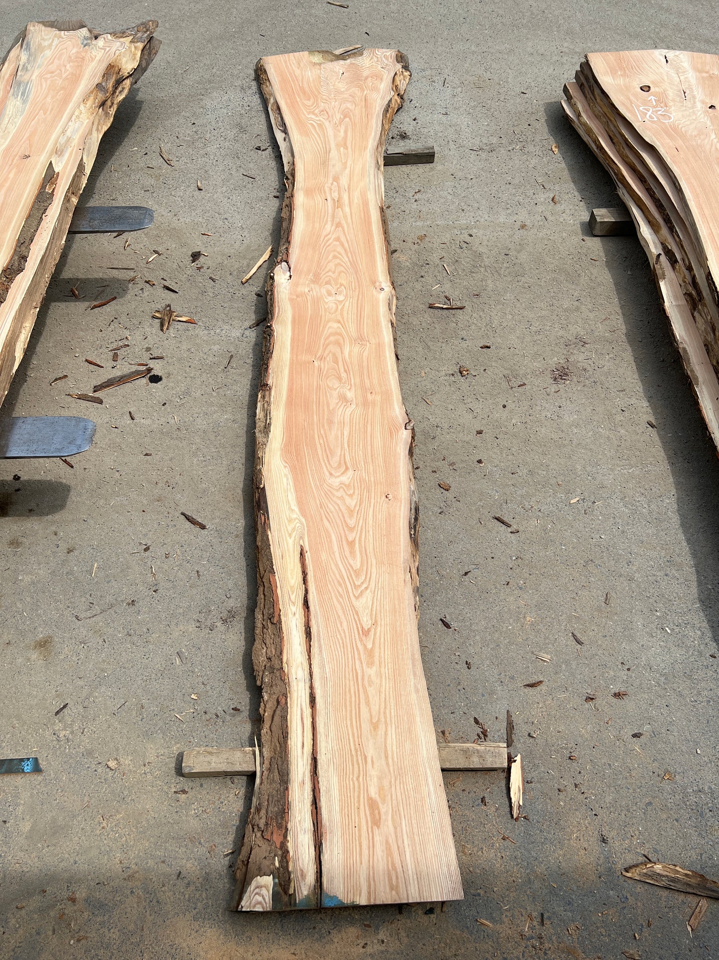 Live Edge Honey Locust - Sku# 20262-48