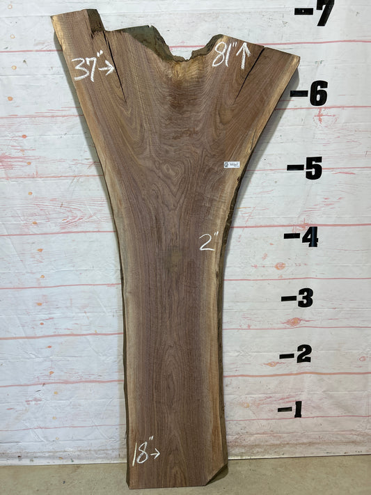 Live Edge Walnut Sku#26045J-32