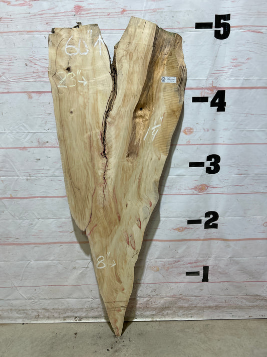 Live Edge Box Elder Sku#26913M-8