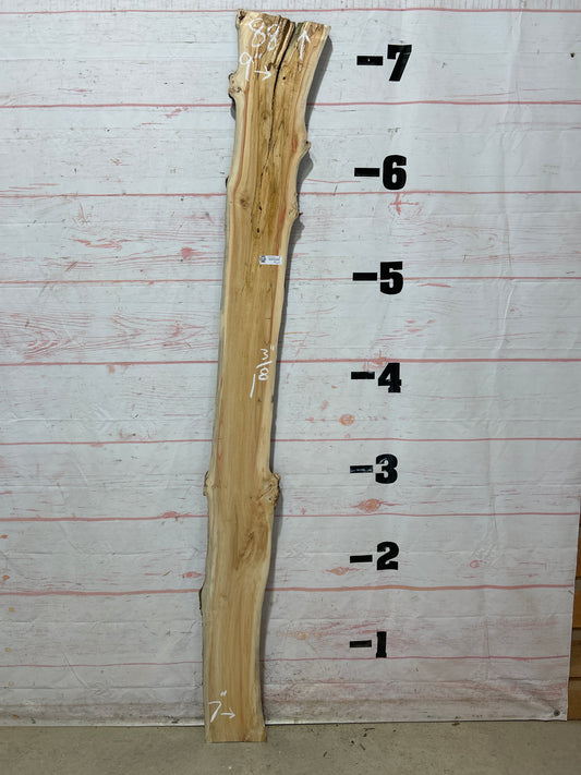 Live Edge Box Elder Sku#25732D-8