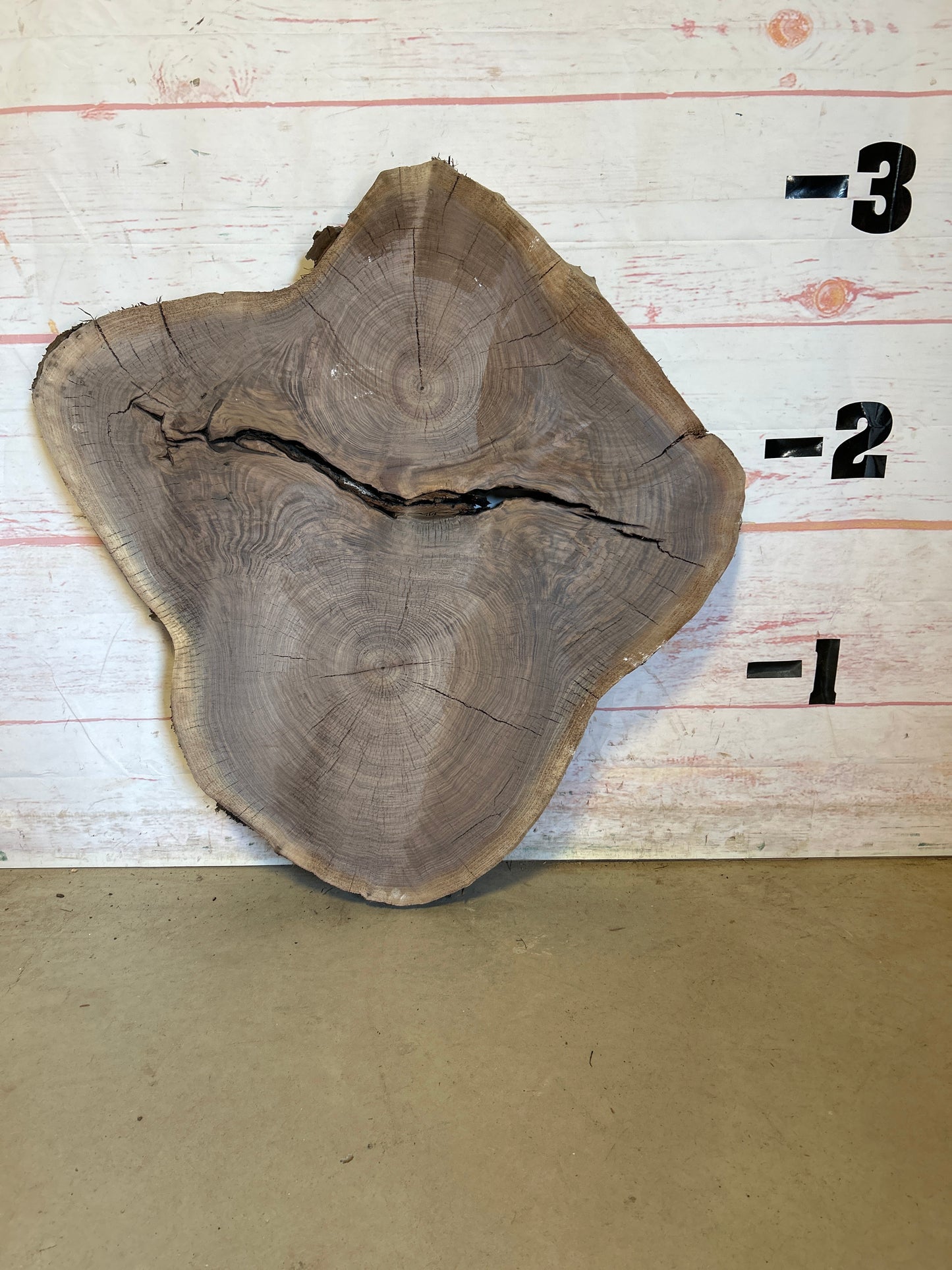 Live Edge Walnut Cookie #24017M