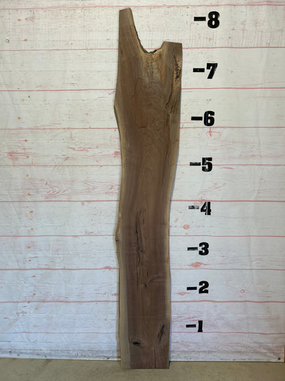 Live Edge Walnut Sku#25850M-15