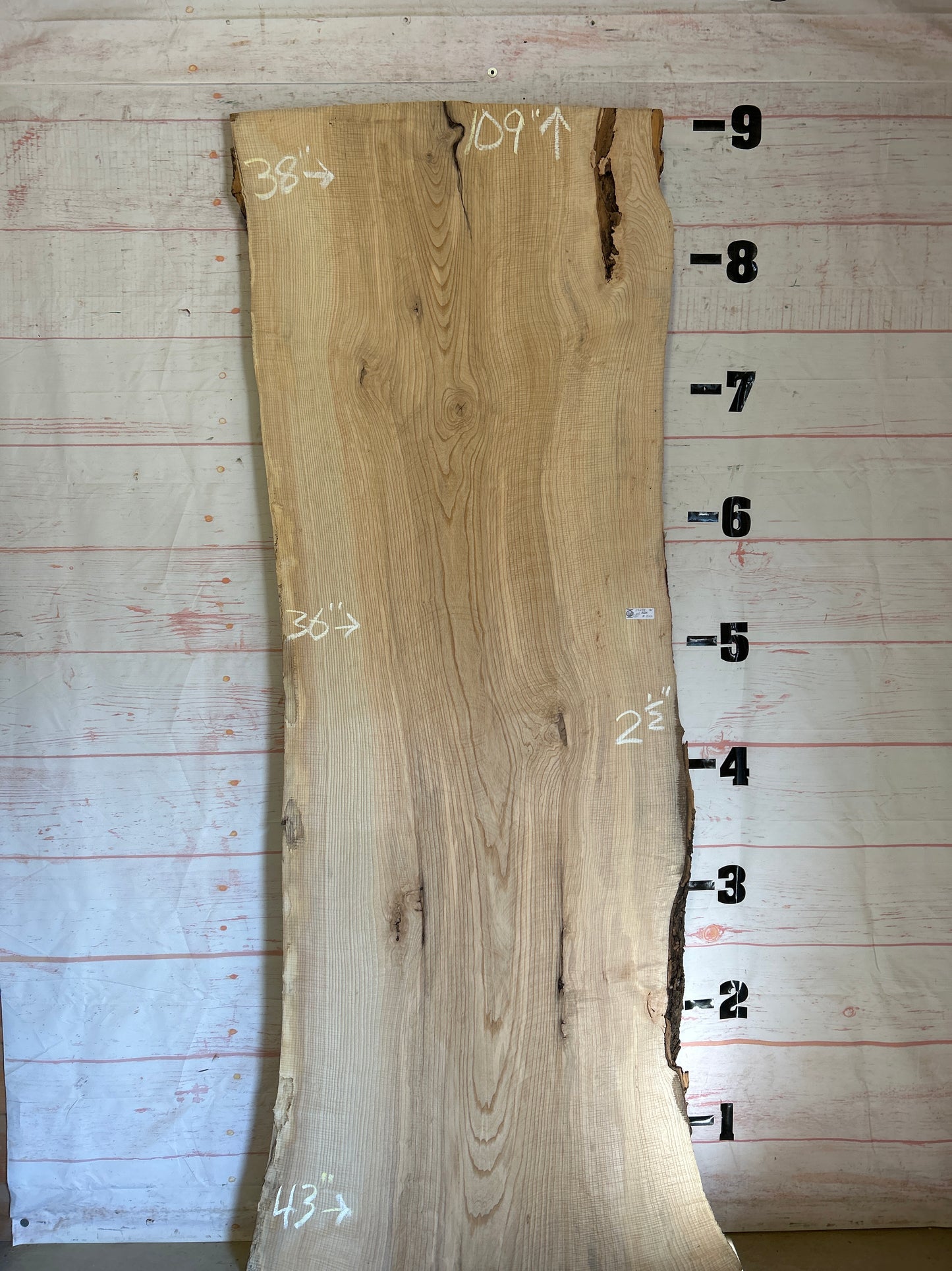 Live Edge Curly Ash Sku#24288-76