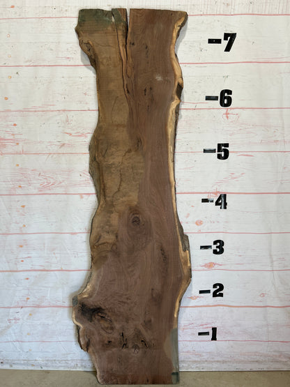 Live Edge Walnut Sku#26145C-29