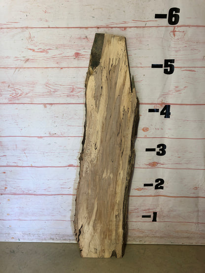 Live Edge Spalted Maple Sku#22677E-12