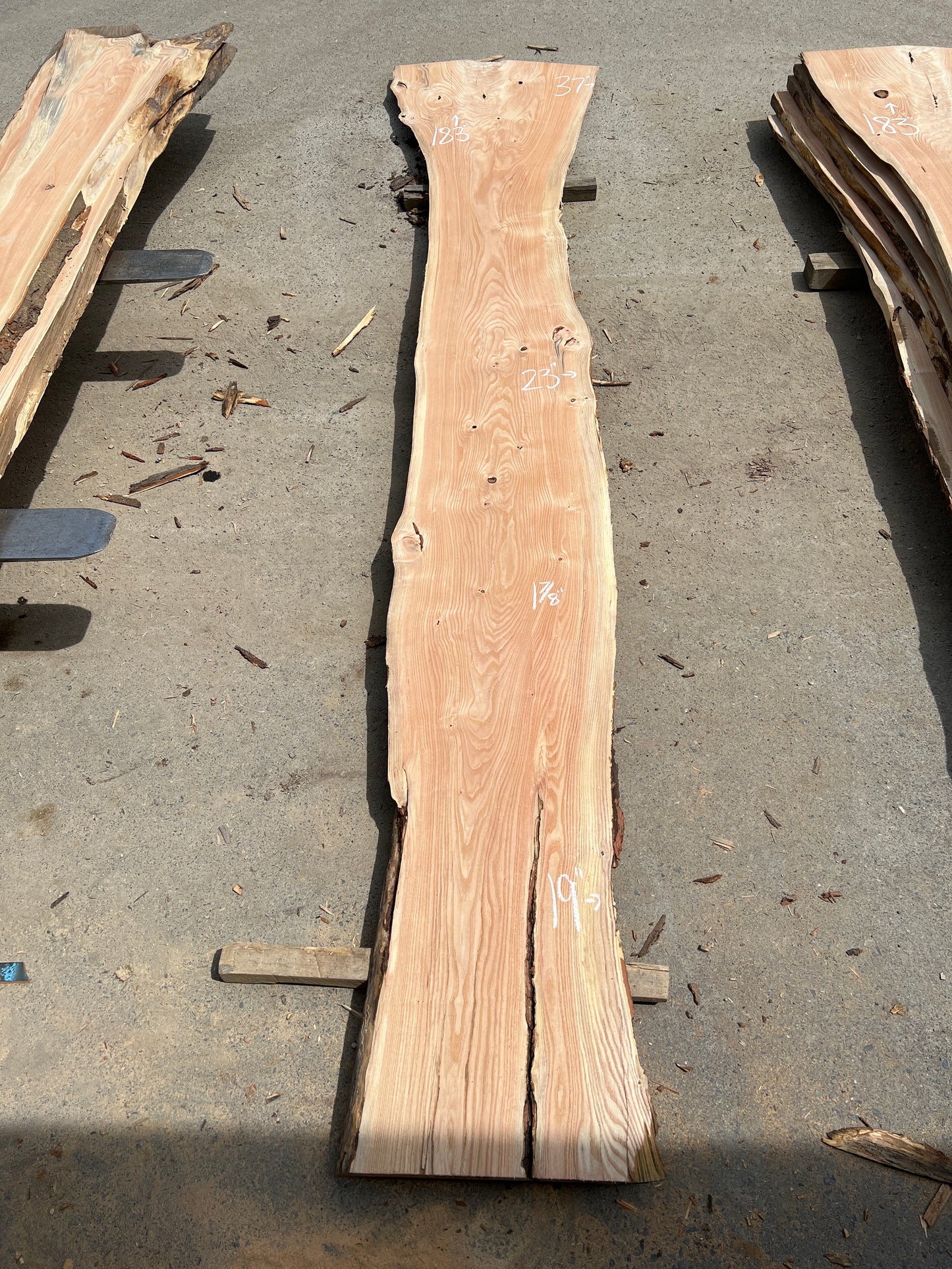 Live Edge Honey Locust - Sku# 20262-48