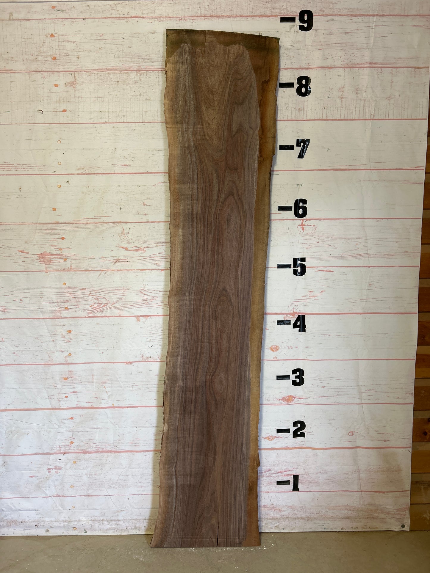 LiveEdge Walnut Sku#24554J-31