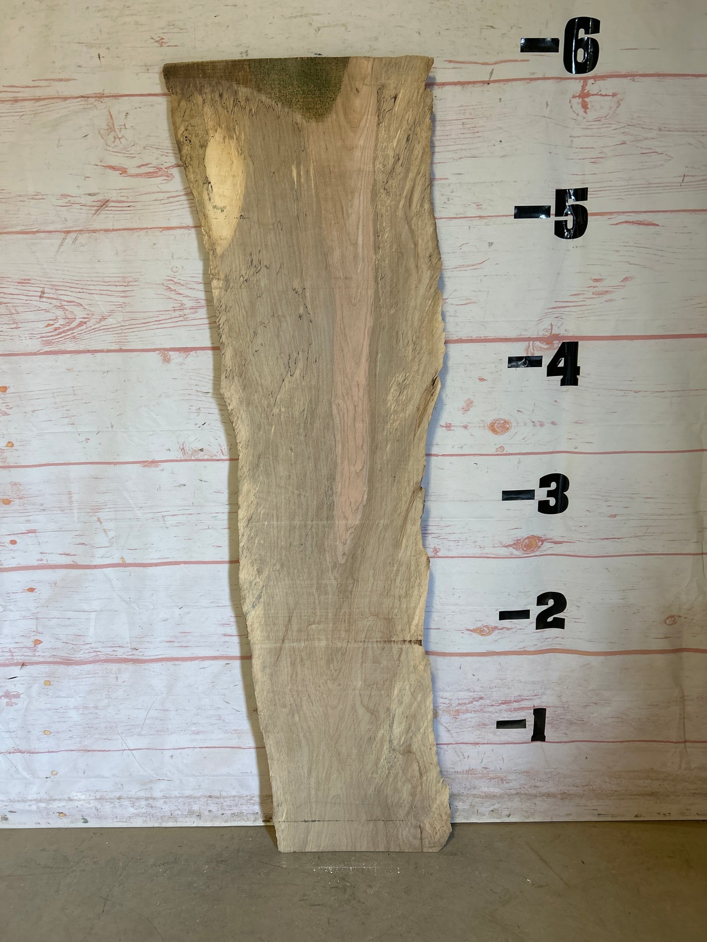 Live Edge Spalted Maple Sku#24660E-13