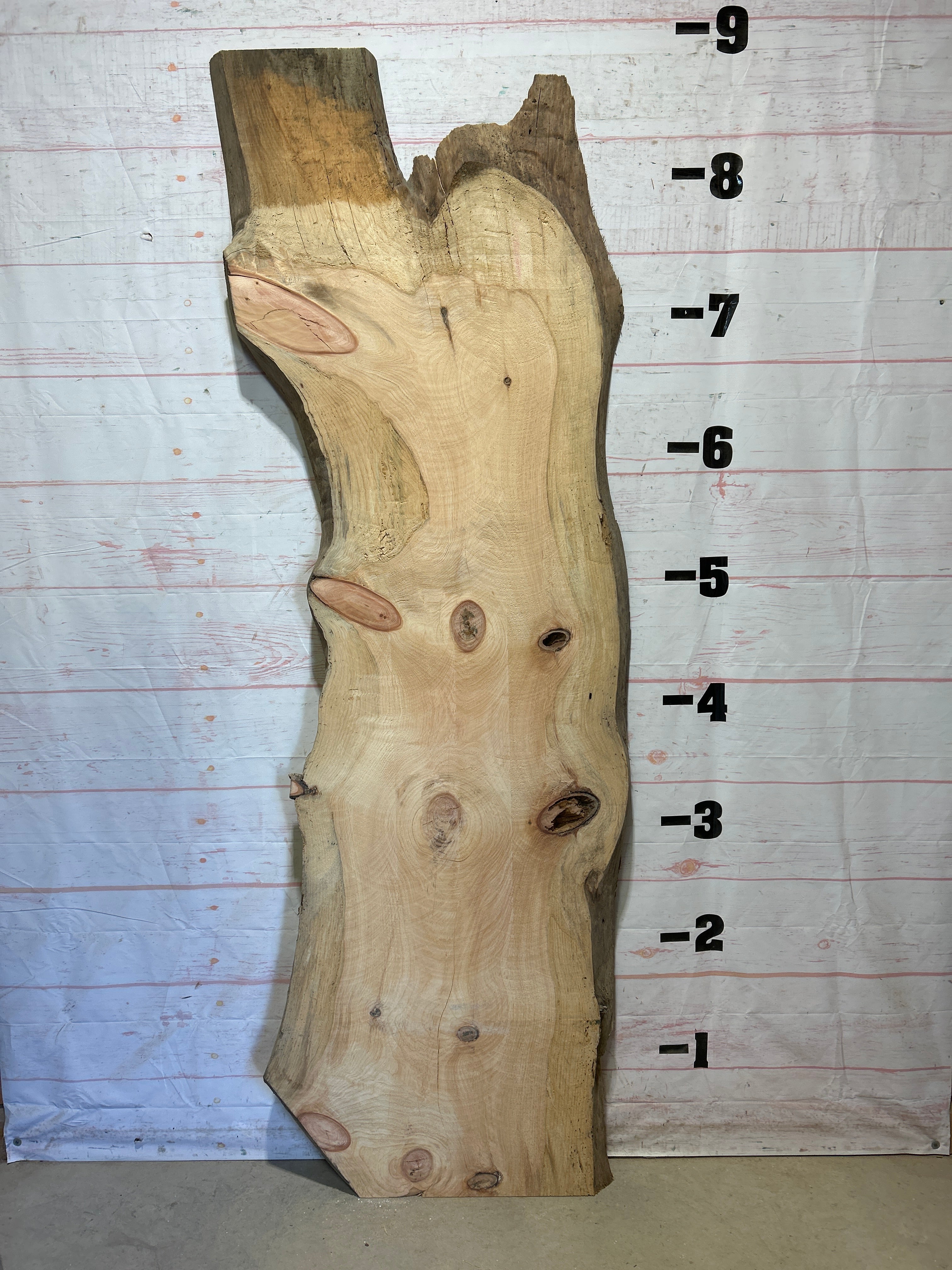Live Edge Pine Slabs, Pine Wood Slabs With Live Edge, Kiln Dried ...
