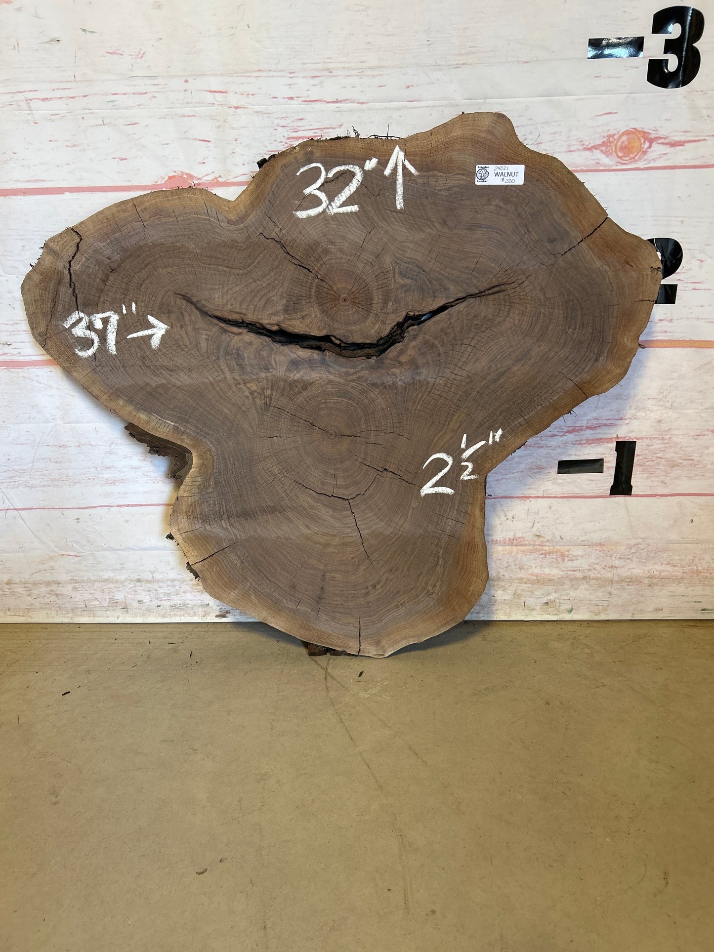 Live Edge Walnut Cookie#24021M