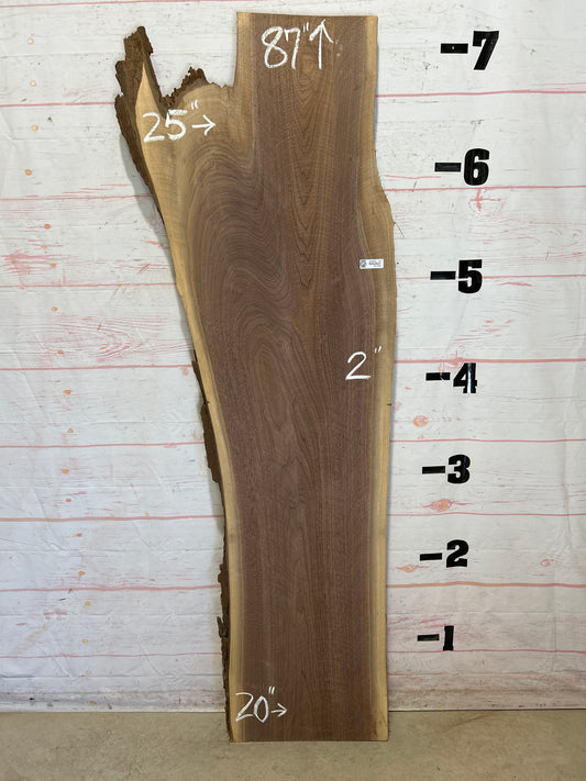 Live Edge Walnut Sku#20084J-24