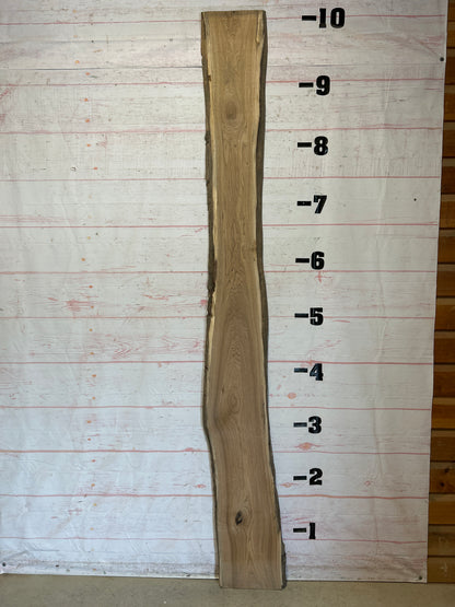 Live Edge Butternut Sku#25946-18