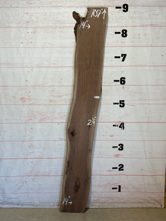 Live Edge Walnut Sku#26196K-23