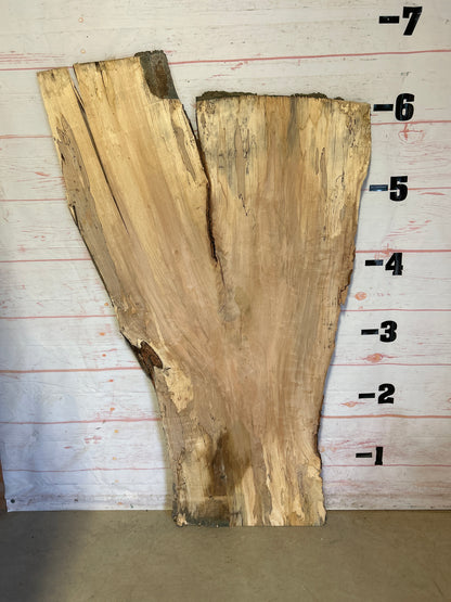 Live Edge Spalted Maple Sku#23925S-41