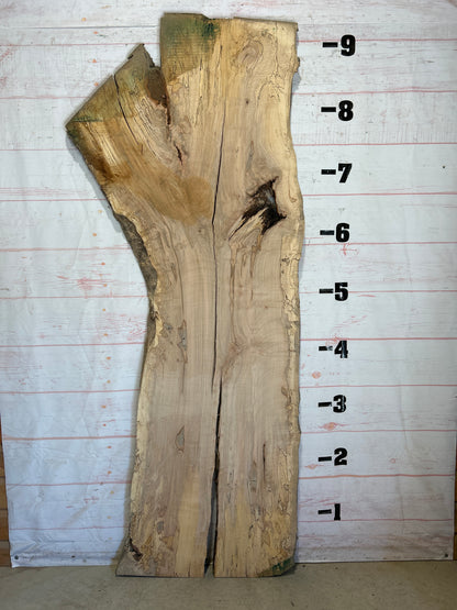 Live Edge Maple Sku#26267-58